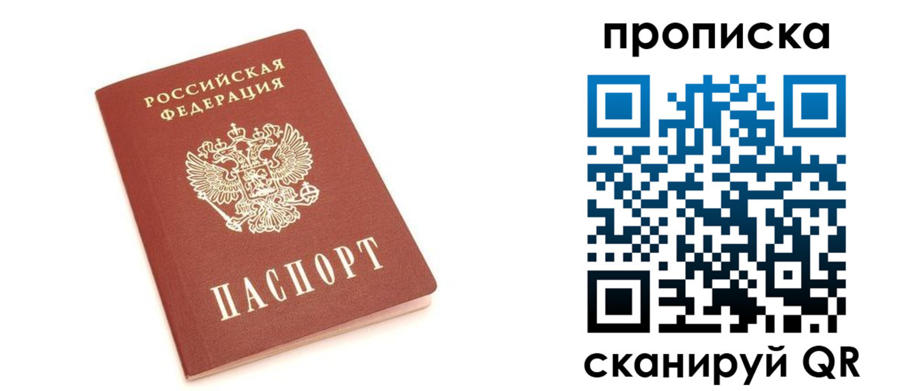прописка 2025 в Сольцах